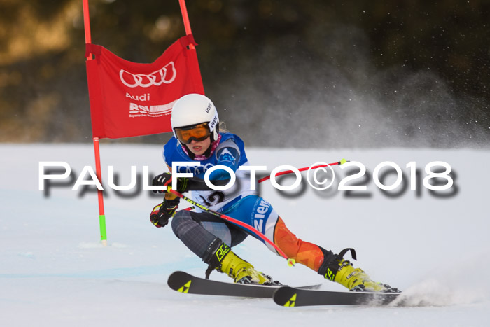 Bayerische Schülermeisterschaft Alpin Riesenslalom 27.01.2018