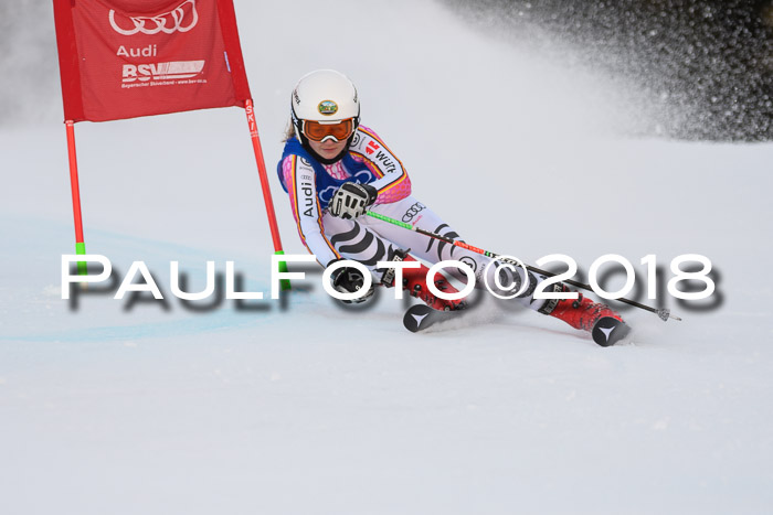 Bayerische Schülermeisterschaft Alpin Riesenslalom 27.01.2018