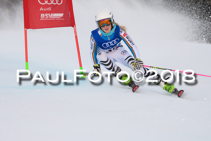 Bayerische Schülermeisterschaft Alpin Riesenslalom 27.01.2018