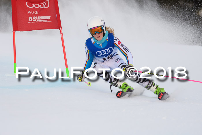 Bayerische Schülermeisterschaft Alpin Riesenslalom 27.01.2018