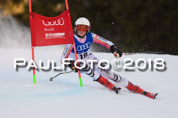 Bayerische Schülermeisterschaft Alpin Riesenslalom 27.01.2018