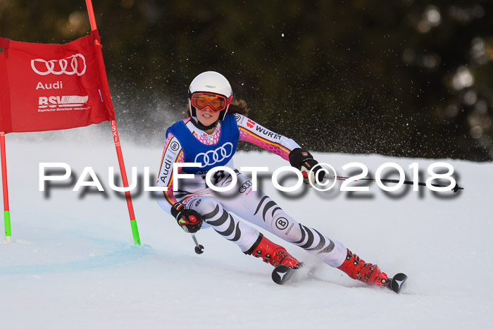 Bayerische Schülermeisterschaft Alpin Riesenslalom 27.01.2018