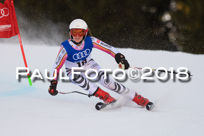 Bayerische Schülermeisterschaft Alpin Riesenslalom 27.01.2018