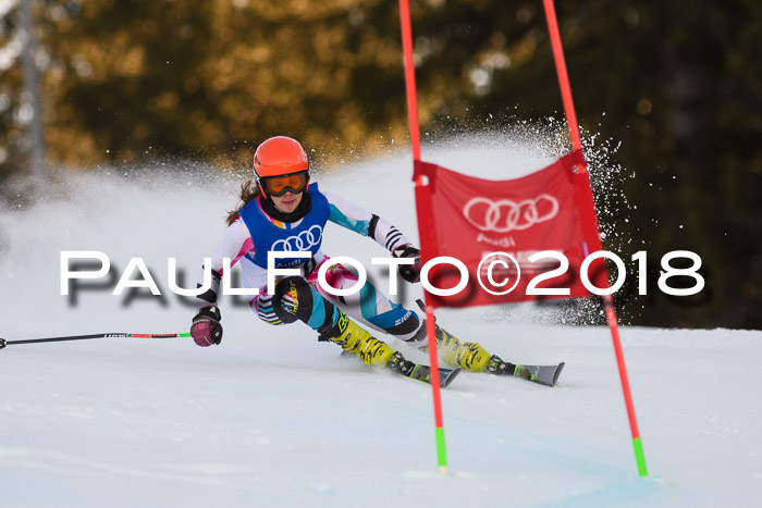 Bayerische Schülermeisterschaft Alpin Riesenslalom 27.01.2018