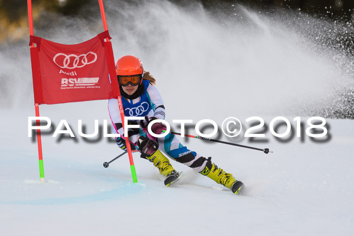 Bayerische Schülermeisterschaft Alpin Riesenslalom 27.01.2018