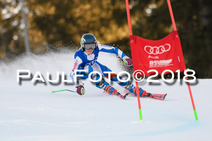 Bayerische Schülermeisterschaft Alpin Riesenslalom 27.01.2018