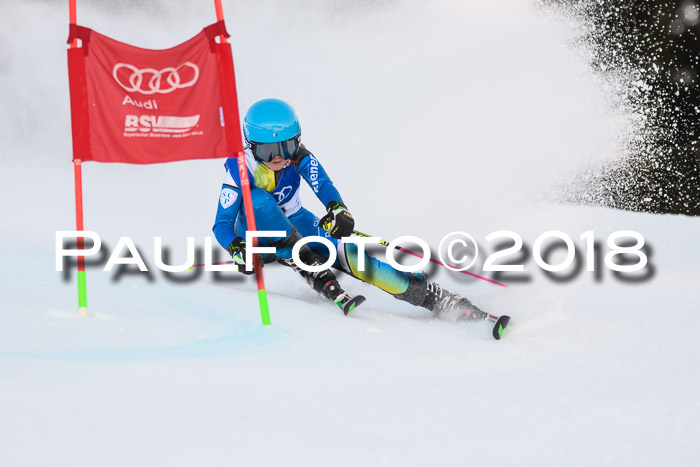 Bayerische Schülermeisterschaft Alpin Riesenslalom 27.01.2018