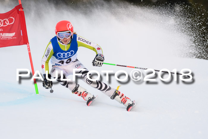 Bayerische Schülermeisterschaft Alpin Riesenslalom 27.01.2018