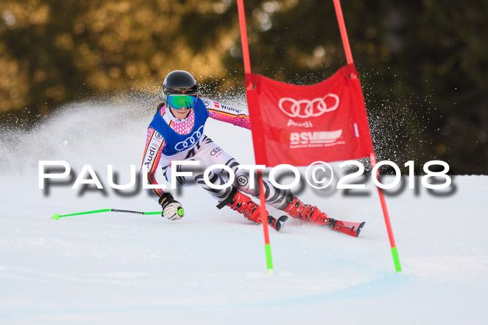 Bayerische Schülermeisterschaft Alpin Riesenslalom 27.01.2018