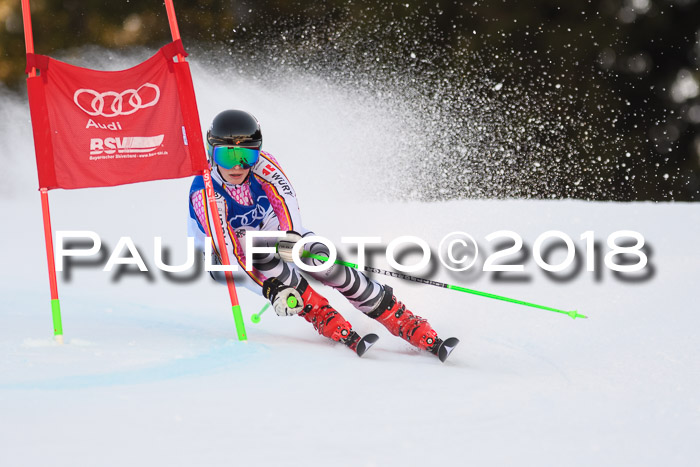 Bayerische Schülermeisterschaft Alpin Riesenslalom 27.01.2018