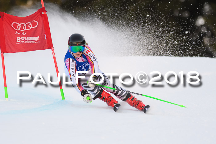 Bayerische Schülermeisterschaft Alpin Riesenslalom 27.01.2018