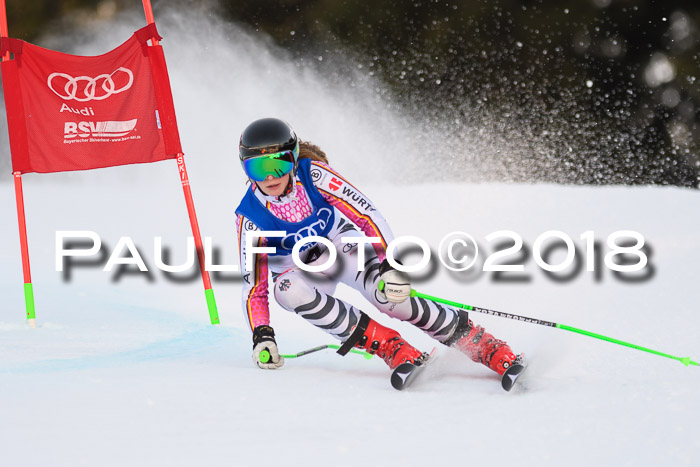 Bayerische Schülermeisterschaft Alpin Riesenslalom 27.01.2018