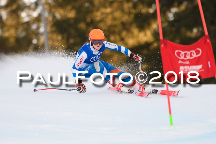 Bayerische Schülermeisterschaft Alpin Riesenslalom 27.01.2018