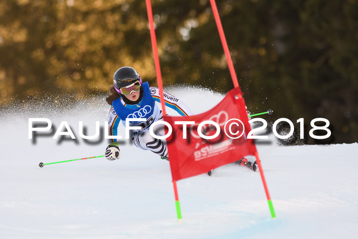 Bayerische Schülermeisterschaft Alpin Riesenslalom 27.01.2018