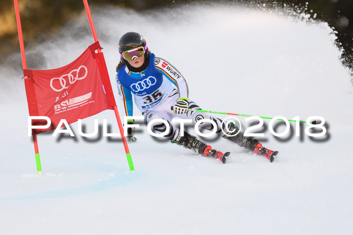 Bayerische Schülermeisterschaft Alpin Riesenslalom 27.01.2018