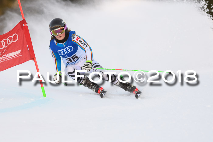 Bayerische Schülermeisterschaft Alpin Riesenslalom 27.01.2018