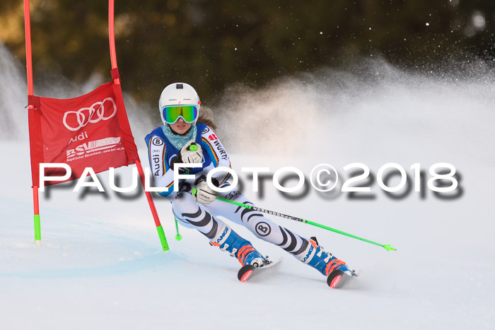 Bayerische Schülermeisterschaft Alpin Riesenslalom 27.01.2018