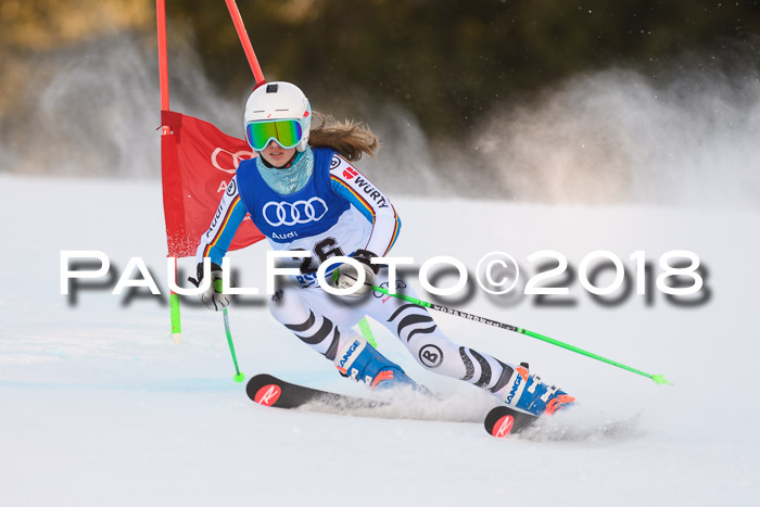 Bayerische Schülermeisterschaft Alpin Riesenslalom 27.01.2018