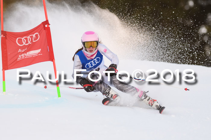 Bayerische Schülermeisterschaft Alpin Riesenslalom 27.01.2018