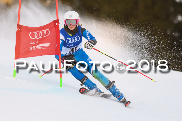 Bayerische Schülermeisterschaft Alpin Riesenslalom 27.01.2018