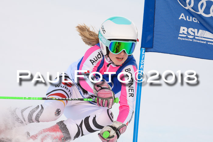 Bayerische Schülermeisterschaft Alpin Riesenslalom 27.01.2018