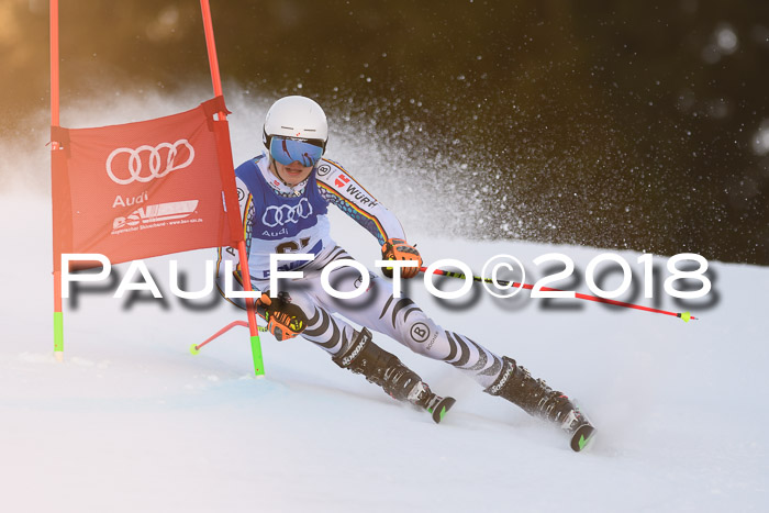 Bayerische Schülermeisterschaft Alpin Riesenslalom 27.01.2018