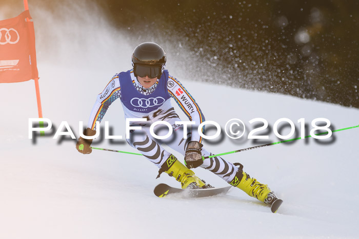 Bayerische Schülermeisterschaft Alpin Riesenslalom 27.01.2018