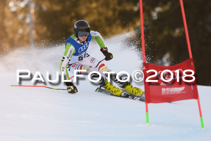 Bayerische Schülermeisterschaft Alpin Riesenslalom 27.01.2018