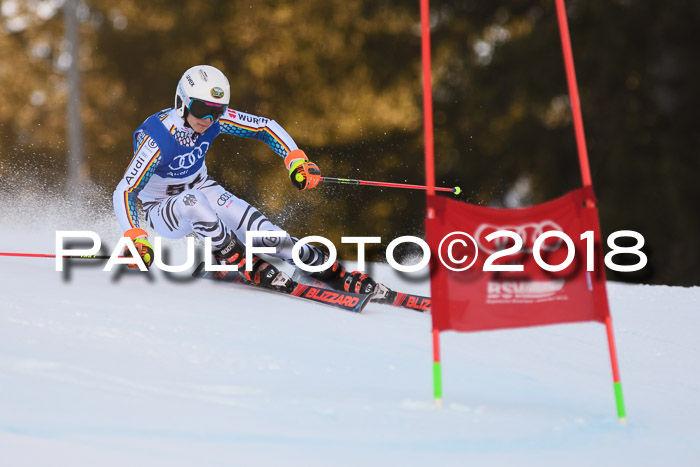 Bayerische Schülermeisterschaft Alpin Riesenslalom 27.01.2018