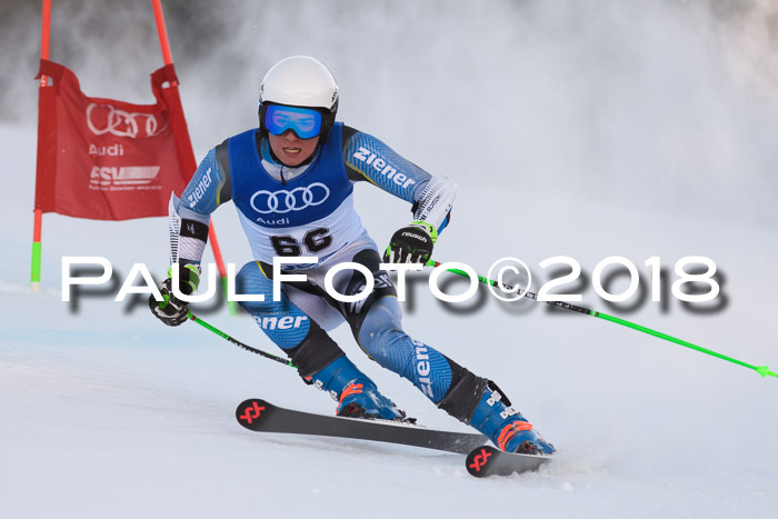 Bayerische Schülermeisterschaft Alpin Riesenslalom 27.01.2018