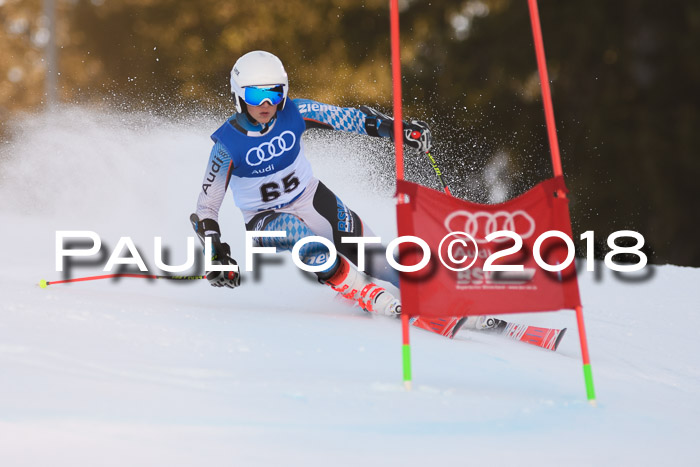 Bayerische Schülermeisterschaft Alpin Riesenslalom 27.01.2018