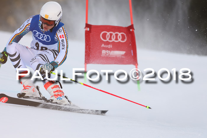 Bayerische Schülermeisterschaft Alpin Riesenslalom 27.01.2018