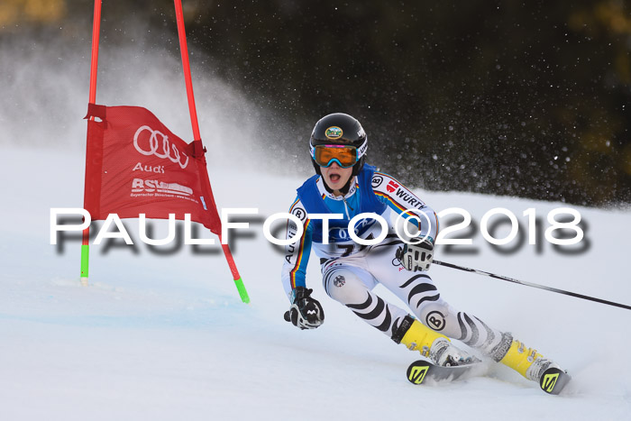 Bayerische Schülermeisterschaft Alpin Riesenslalom 27.01.2018