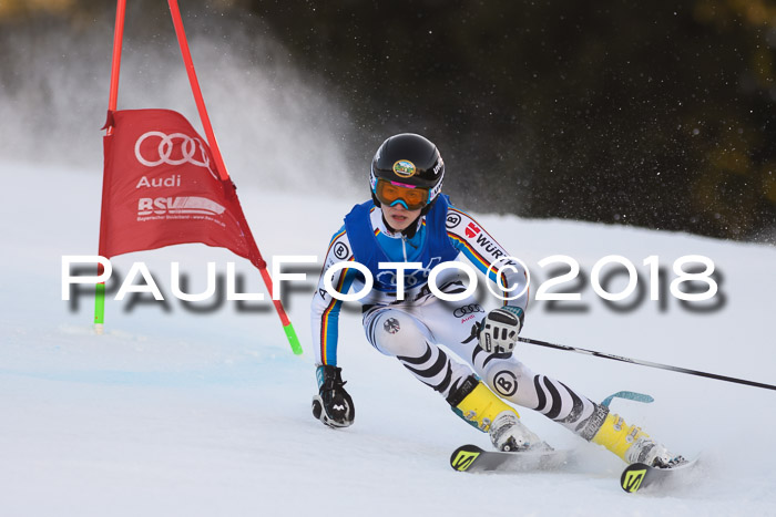 Bayerische Schülermeisterschaft Alpin Riesenslalom 27.01.2018