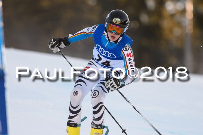 Bayerische Schülermeisterschaft Alpin Riesenslalom 27.01.2018