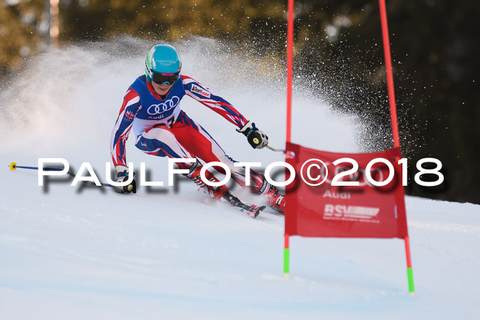 Bayerische Schülermeisterschaft Alpin Riesenslalom 27.01.2018