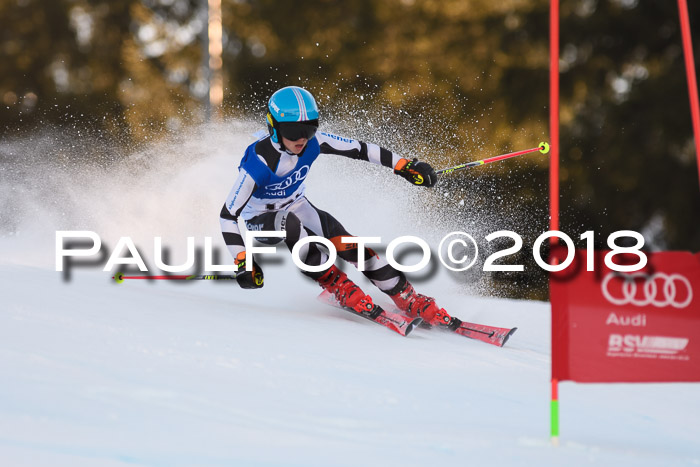 Bayerische Schülermeisterschaft Alpin Riesenslalom 27.01.2018