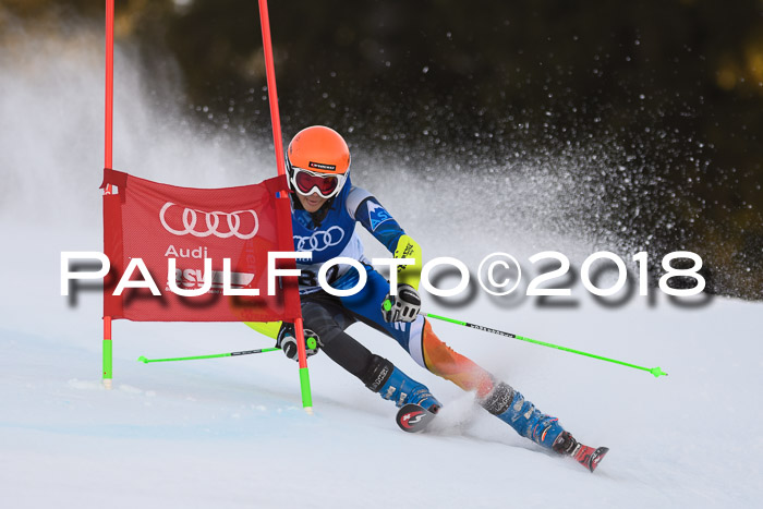 Bayerische Schülermeisterschaft Alpin Riesenslalom 27.01.2018