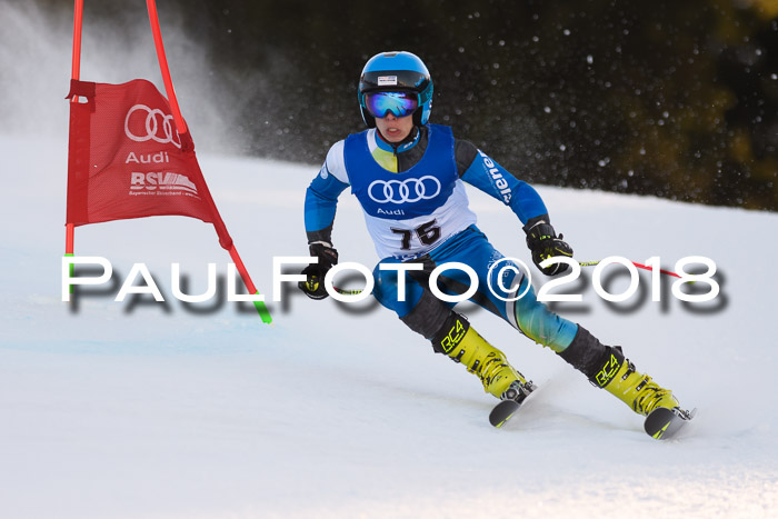 Bayerische Schülermeisterschaft Alpin Riesenslalom 27.01.2018