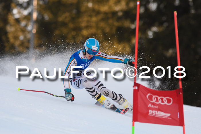 Bayerische Schülermeisterschaft Alpin Riesenslalom 27.01.2018