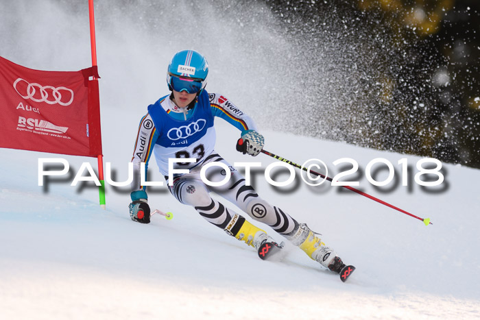 Bayerische Schülermeisterschaft Alpin Riesenslalom 27.01.2018