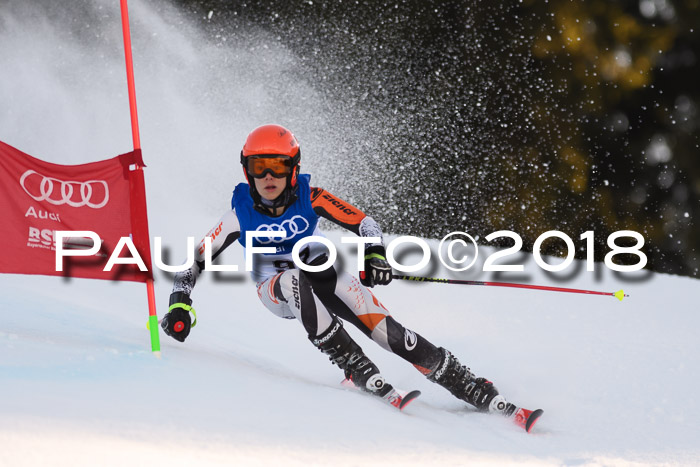 Bayerische Schülermeisterschaft Alpin Riesenslalom 27.01.2018