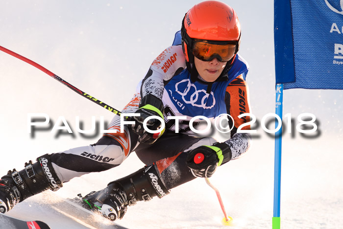 Bayerische Schülermeisterschaft Alpin Riesenslalom 27.01.2018