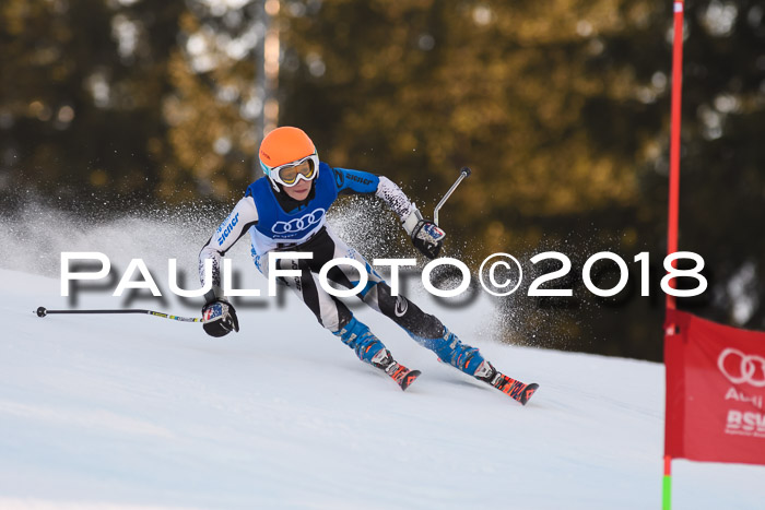 Bayerische Schülermeisterschaft Alpin Riesenslalom 27.01.2018