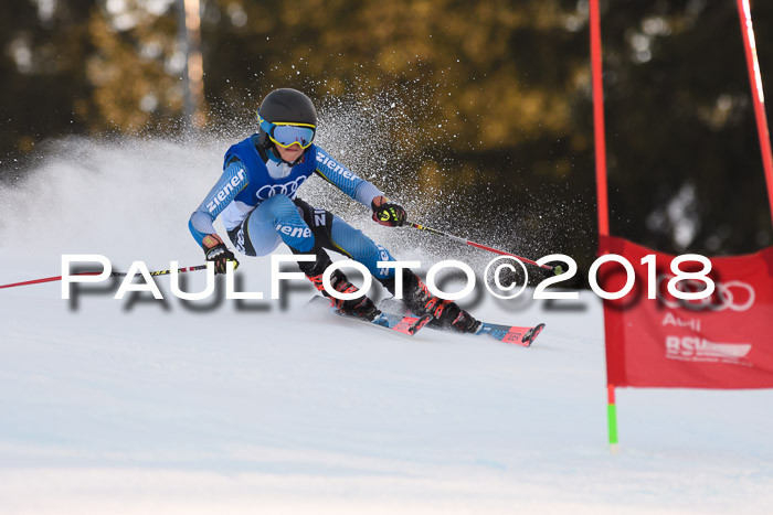 Bayerische Schülermeisterschaft Alpin Riesenslalom 27.01.2018