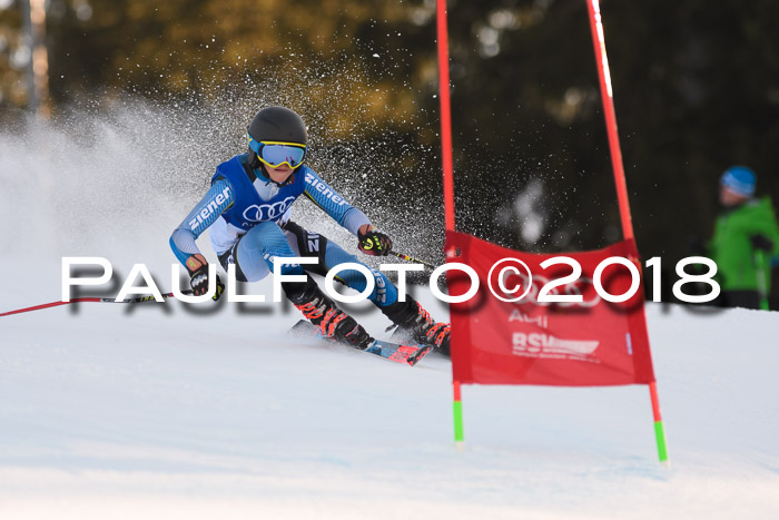 Bayerische Schülermeisterschaft Alpin Riesenslalom 27.01.2018