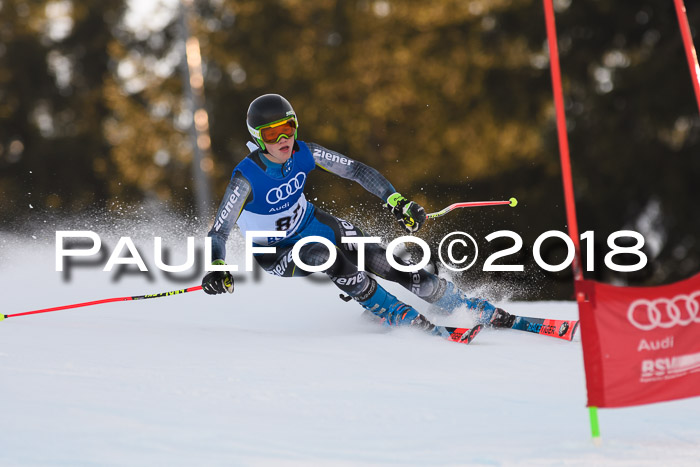 Bayerische Schülermeisterschaft Alpin Riesenslalom 27.01.2018