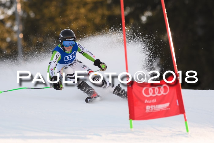 Bayerische Schülermeisterschaft Alpin Riesenslalom 27.01.2018