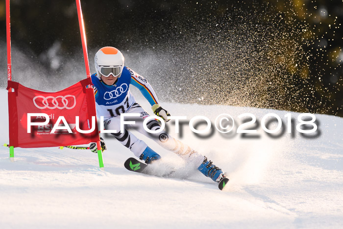 Bayerische Schülermeisterschaft Alpin Riesenslalom 27.01.2018