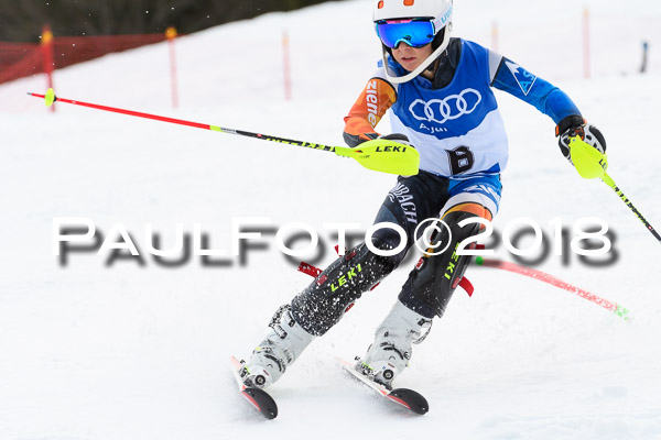 Bayerische Schülermeisterschaft Slalom 28.01.2018